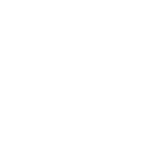 Nissan Logo Light